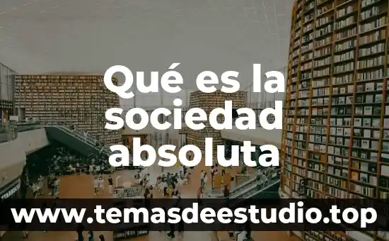 Qué es la sociedad absoluta