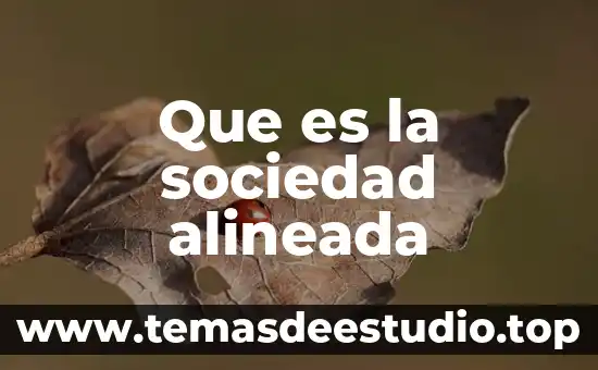 Que es la funcionalidad en la sociedad 7 Que es la sociedad alineada