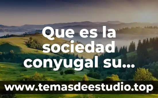Que es una figura juridica en mexico 3 Que es la sociedad conyugal su objeto y naturaleza juridica
