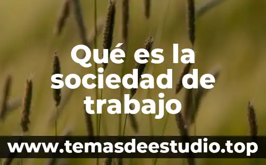 Planilla de trabajo que es 6 Qué es la sociedad de trabajo