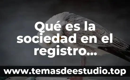 Que es la economia burguesa 5 Qué es la sociedad en el registro mercantil
