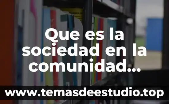 Que es la sociedad en la comunidad capitalista