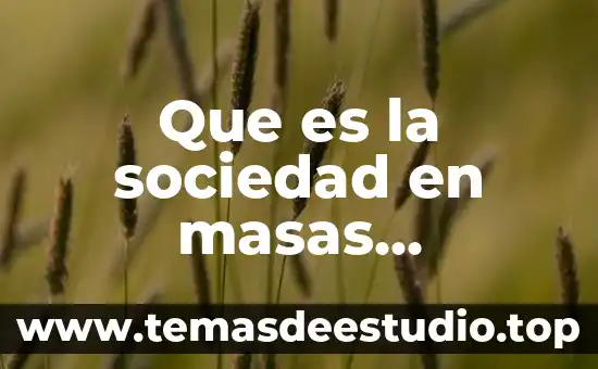 Que es la sociedad en masas problemaicas