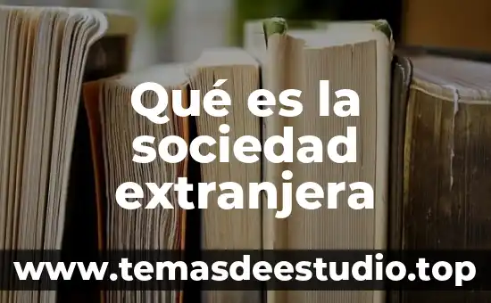 Ley de inversión extranjera que es una franquicia 3 Qué es la sociedad extranjera
