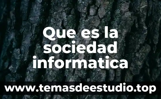 Que es la sociedad informatica