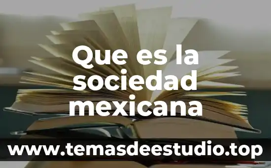 Que es homogeneidad en sociedad 4 Que es la sociedad mexicana