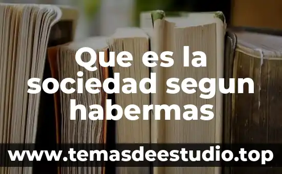 Que es la razonamiento instrumental segun jurgen habermas 5 Que es la sociedad segun habermas