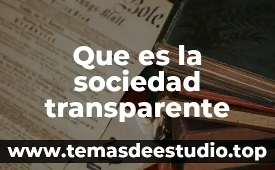Que es la sociedad transparente