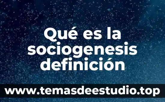 Qué es la sociogenesis definición
