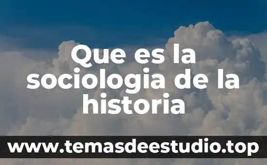 Qué es un fenómeno político según la sociología 4 Que es la sociologia de la historia