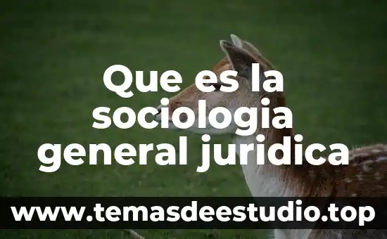 Que es la familia desde la sociologia 5 Que es la sociologia general juridica