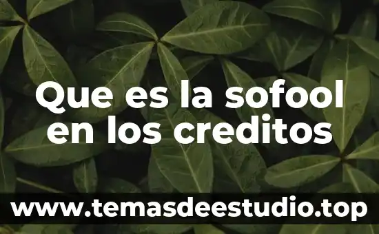 Qué es el créditos refaccionarios 3 Que es la sofool en los creditos