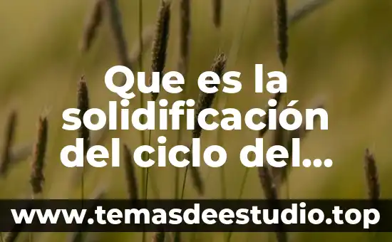 Que es la solidificación del ciclo del agua