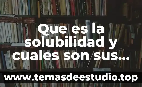 Que es la solubilidad y cuales son sus factores