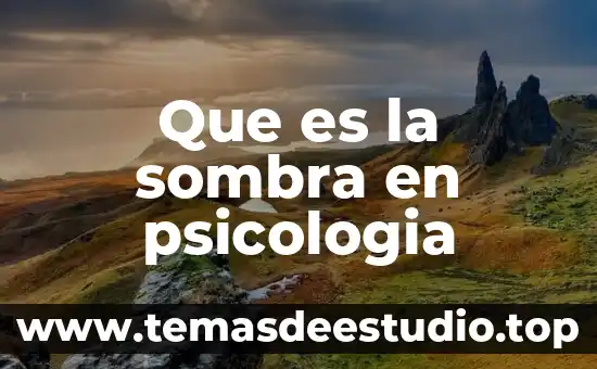 En psicología que es la conciencia 5 Que es la sombra en psicologia