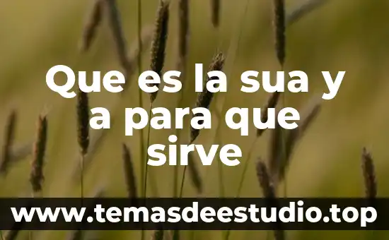 Que es la sua y a para que sirve