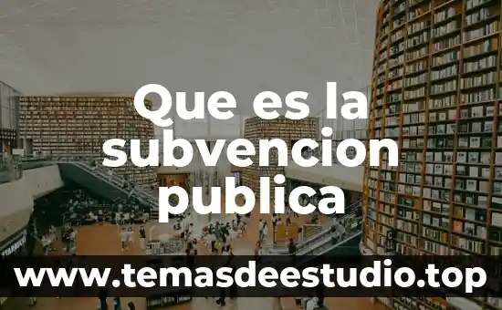 Que es la subvencion publica