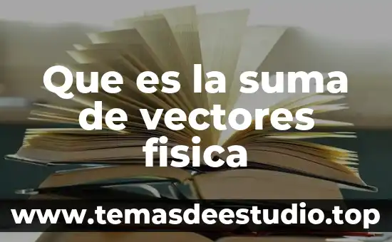 Que es un sistema de vectores en fisica 3 Que es la suma de vectores fisica