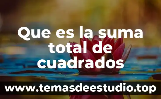 Que es la suma total de cuadrados