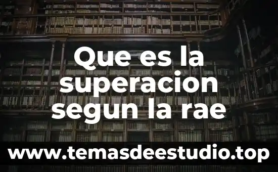 Que es feminidad segun la rae 6 Que es la superacion segun la rae