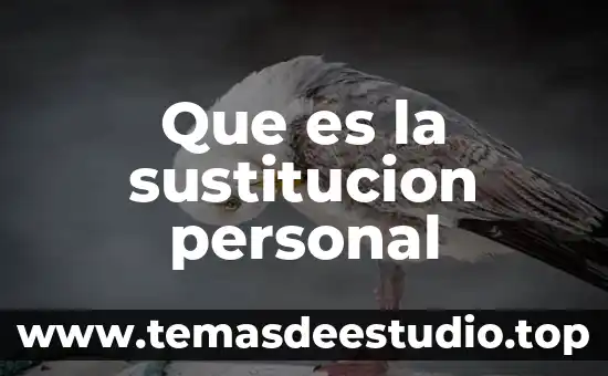Que es el modelo de sustitución de inversiones 8 Que es la sustitucion personal