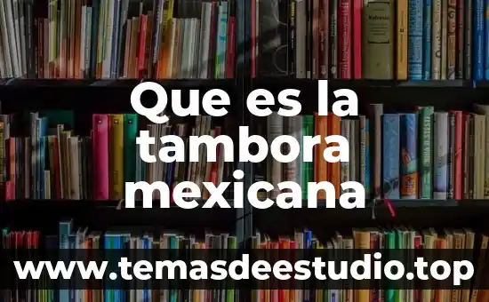 Qué es ser de la derecha en política mexicana 7 Que es la tambora mexicana