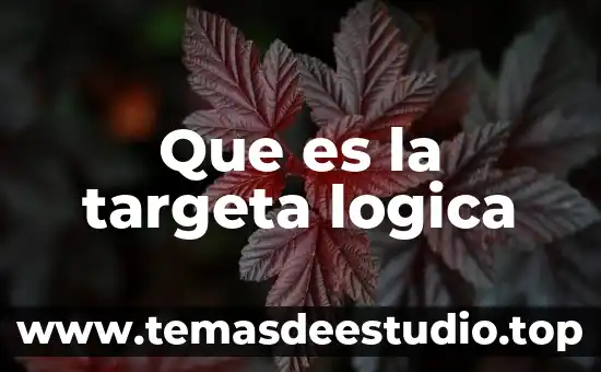 Que es la targeta logica