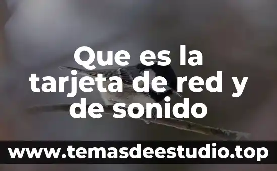 Que es nombre de red viera 5 Que es la tarjeta de red y de sonido
