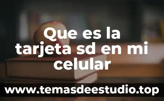 Qué es la tarjeta bansefi 5 Que es la tarjeta sd en mi celular