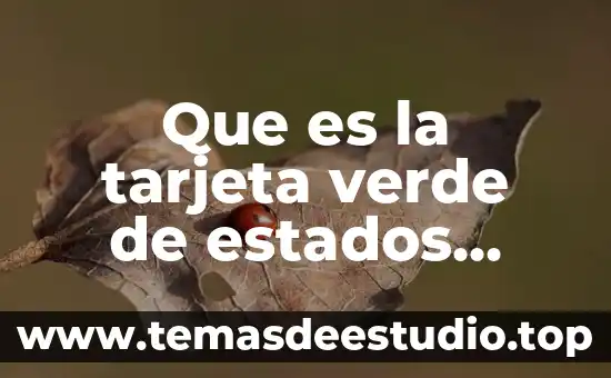 Que es el juramento de la bandera de estados unidos 8 Que es la tarjeta verde de estados unidos