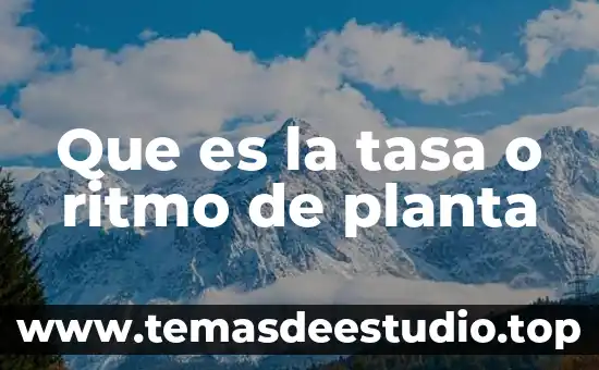 Qué es la tasa de prevalencia y cómo se calcula 5 Que es la tasa o ritmo de planta