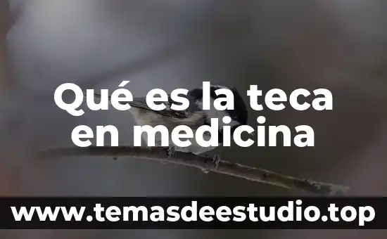 Qué es un signo en medicina veterinaria 7 Qué es la teca en medicina