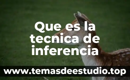Que es tipo de inferencia 5 Que es la tecnica de inferencia
