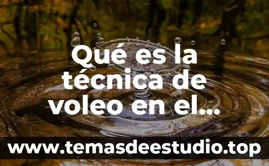 Qué es la técnica de voleo en el voleibol