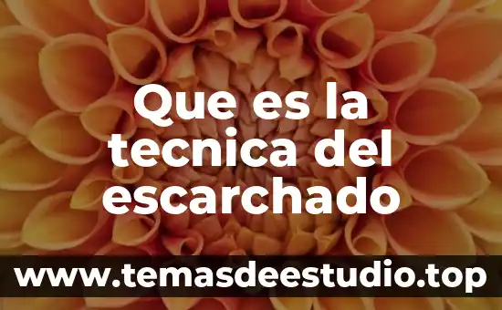 Que es la tecnica del escarchado