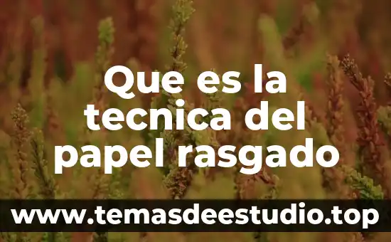 Que es la tecnica del papel rasgado