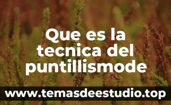 Que es la tecnica del puntillismode