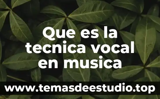 Que es celta en musica 7 Que es la tecnica vocal en musica