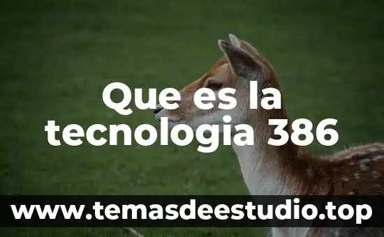 Que es hipotesis desarrollo objetivo introduccion 3 Que es la tecnologia 386