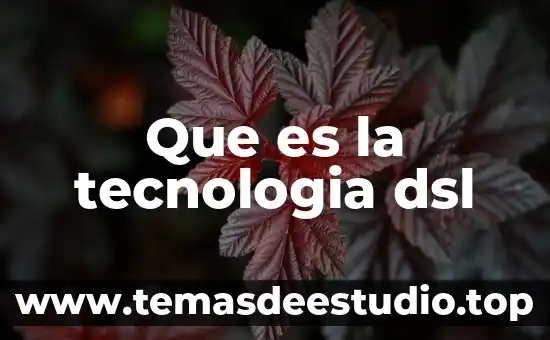 Qué es el corba en tecnología 6 Que es la tecnologia dsl