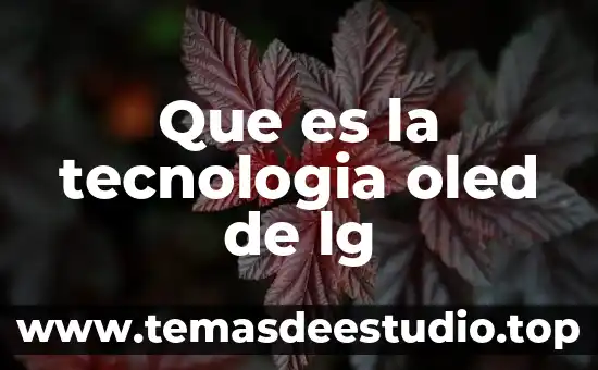 Qué es el corba en tecnología 5 Que es la tecnologia oled de lg