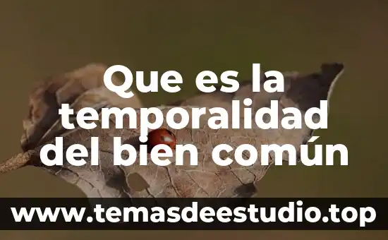 Que es plano carteciono 3 Que es la temporalidad del bien común