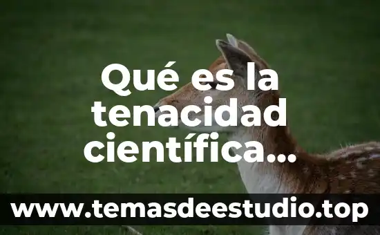 Que es la cera en la cutícula una planta 6 Qué es la tenacidad científica thomas
