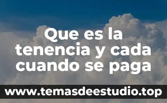 Sabes que es la persona correcta cuando 6 Que es la tenencia y cada cuando se paga