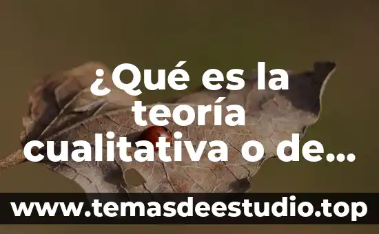 ¿Qué es la teoría cualitativa o de atributos?