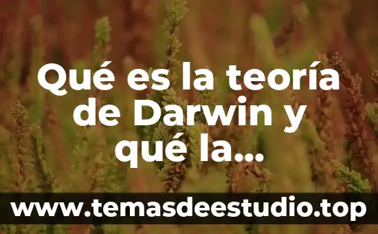 Qué es la teoría de evolución de Charles Darwin 8 Qué es la teoría de Darwin y qué la compone
