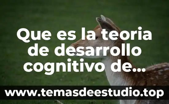 Qué es una teoría mapa conceptual 7 Que es la teoria de desarrollo cognitivo de bruner