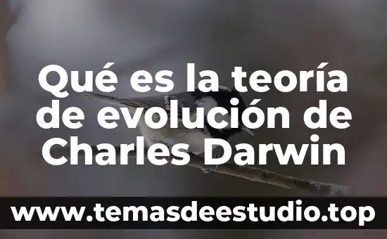 Qué es la teoría de Darwin y qué la compone 8 Qué es la teoría de evolución de Charles Darwin