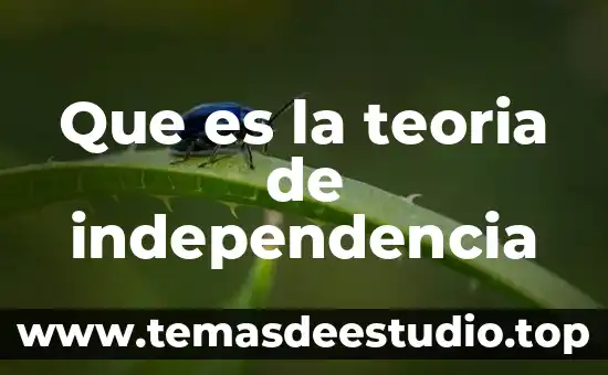 Qué es una teoría mapa conceptual 6 Que es la teoria de independencia