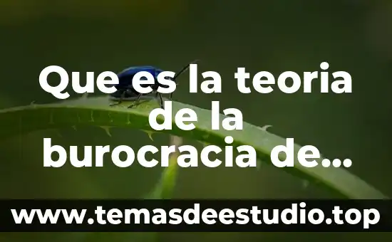 Que es la axiologia segun max scheler 7 Que es la teoria de la burocracia de max weber